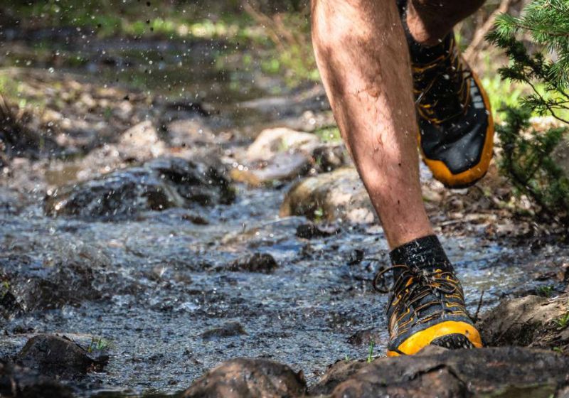 Gokyo Hiking Shoes