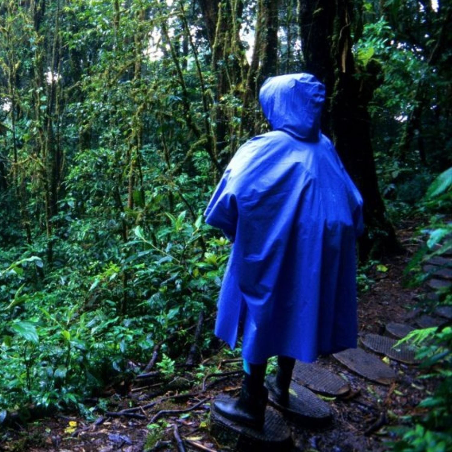 Gokyo Rain Poncho