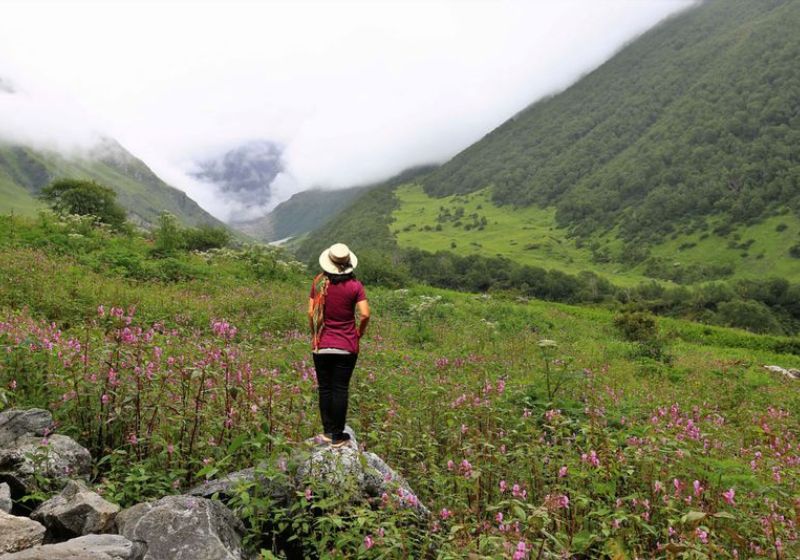 Gokyo Monsoon Must Haves