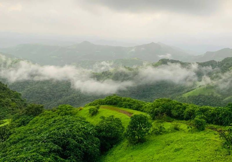 Gokyo Trekking Shoes