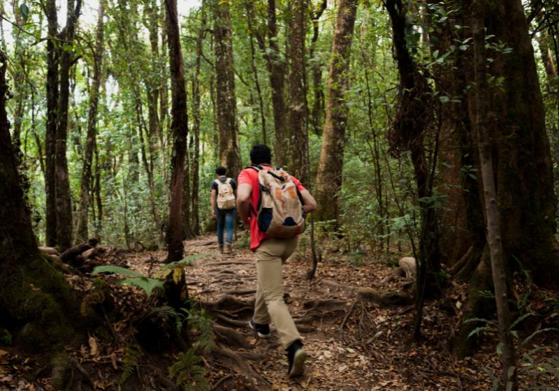 Gokyo Outdoor Apparel