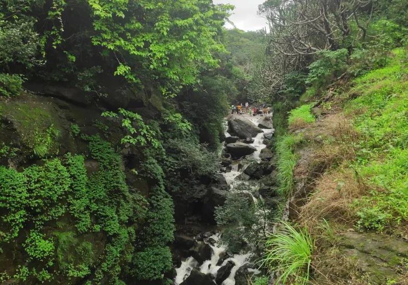 Gokyo Monsoon Must haves