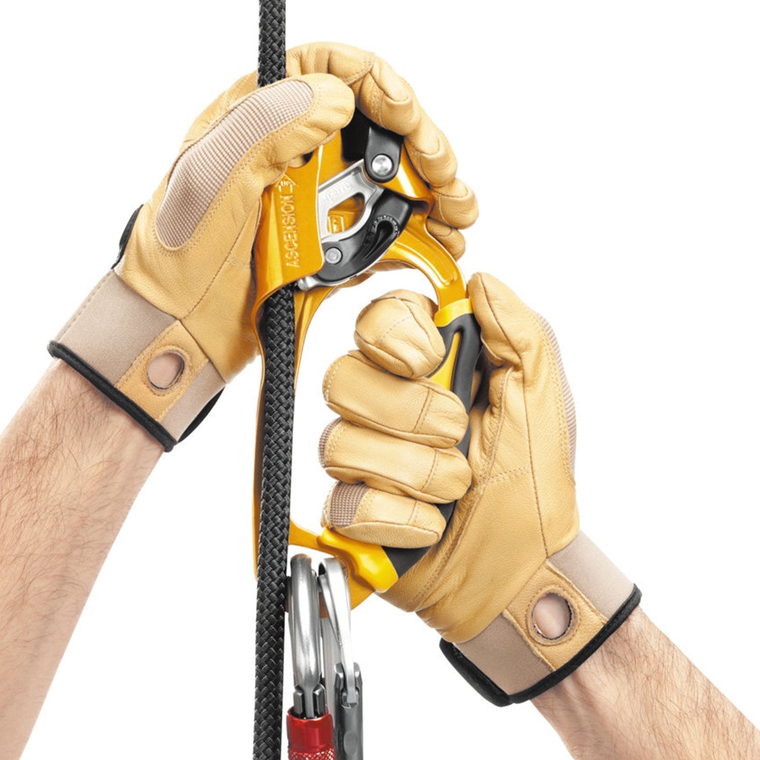 Buy Gokyo Petzl Ascension Right Ascender | Ascender at Gokyo Outdoor Clothing & Gear