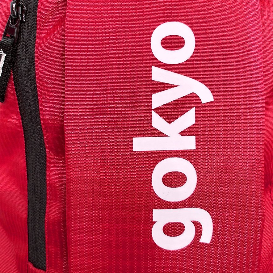 Kalimpong 10 Lt Daypack Ripstop in red - image 5