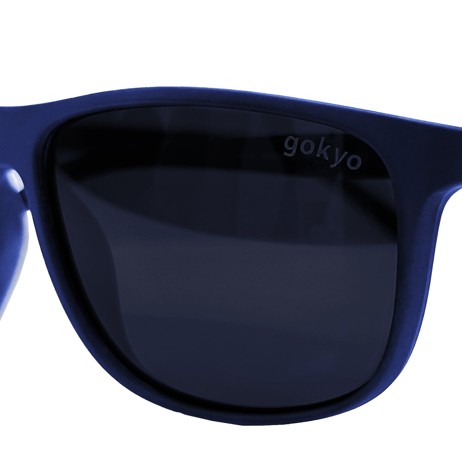 Buy Gokyo Kalimpong Polarized Sunglasses- UV Protection | Sunglasses and Goggles at Gokyo Outdoor Clothing & Gear