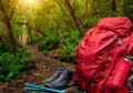 Don’t Let the Rain Stop You: Monsoon-Safe Gear Every Hiker Needs