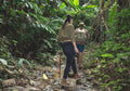 Planning a Jungle Trek This Rainy Season? Here’s What Most Trekkers Forget
