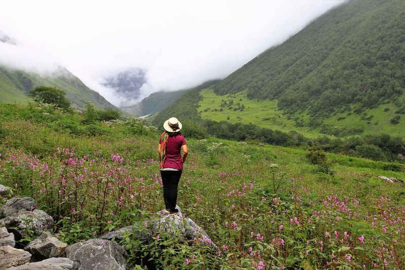 Gokyo Monsoon Must Haves