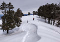 Nag Tibba in January: Why Men Need More Than Just a Regular Jacket for Winter Treks