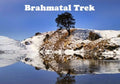 Brahmatal Calling: What to Pack for One of India’s Best Snow Treks This Winter