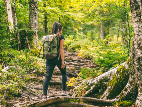 Trails That Make You Stop Walking Just to Look Around