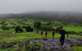 Why Aadrai Trek is Maharashtra’s Best Kept Secret This Monsoon