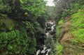 Hidden Monsoon Treks in India You’ve Probably Never Heard Of