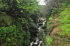 Hidden Monsoon Treks in India You’ve Probably Never Heard Of