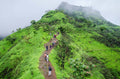 Night Treks Near Mumbai: Trails, Tips & Must-Have Gear