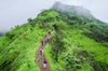 Hidden Monsoon Treks Near Mumbai You Didn’t Know About