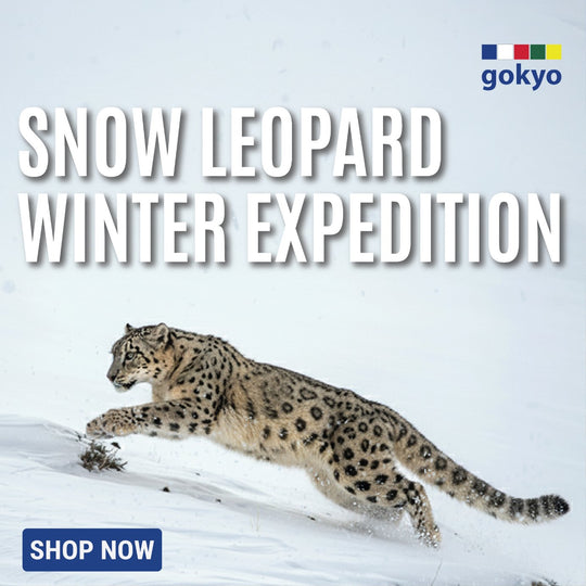 Snow Leopard Winter Expedition