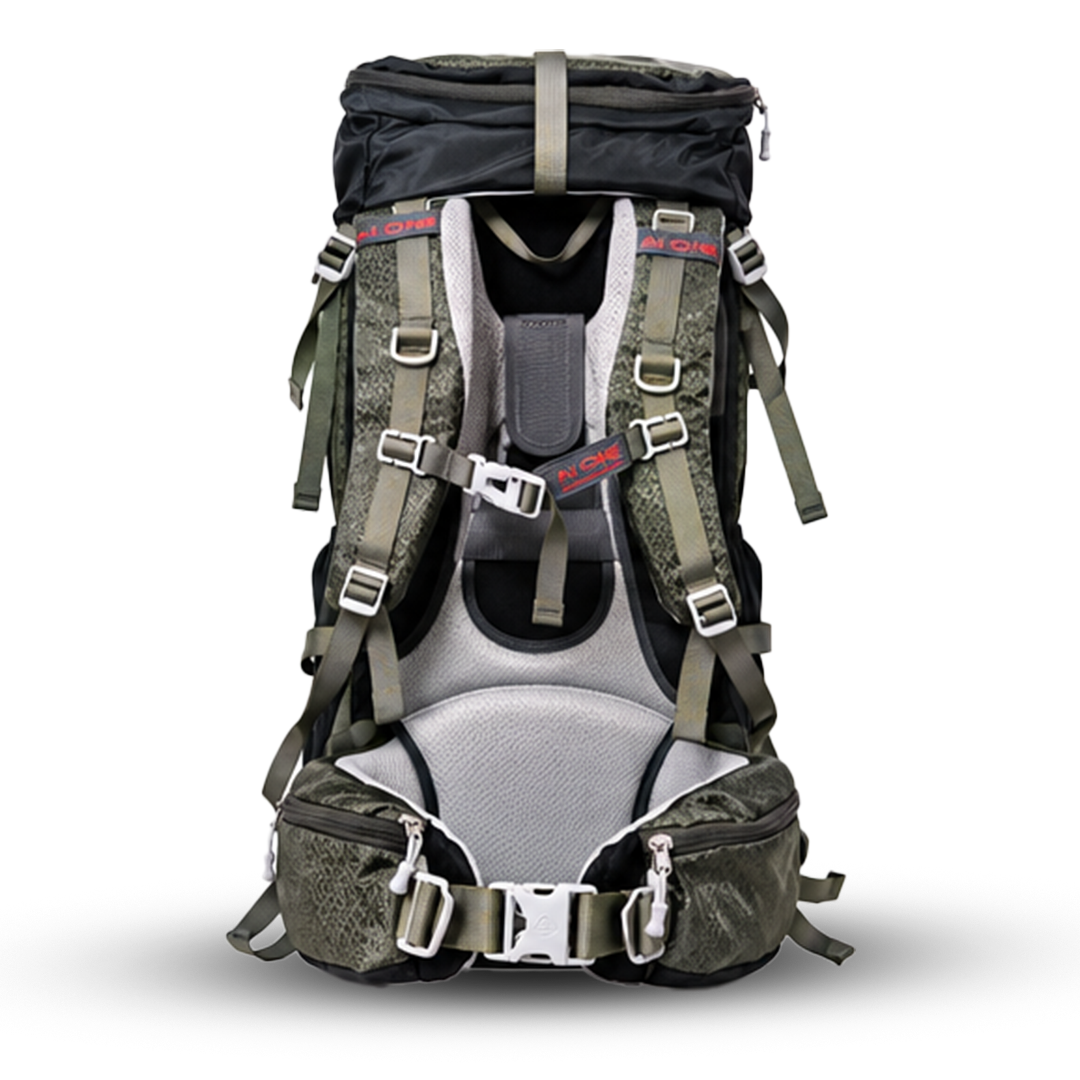 AI One 60L trekking backpack padded back and harness system