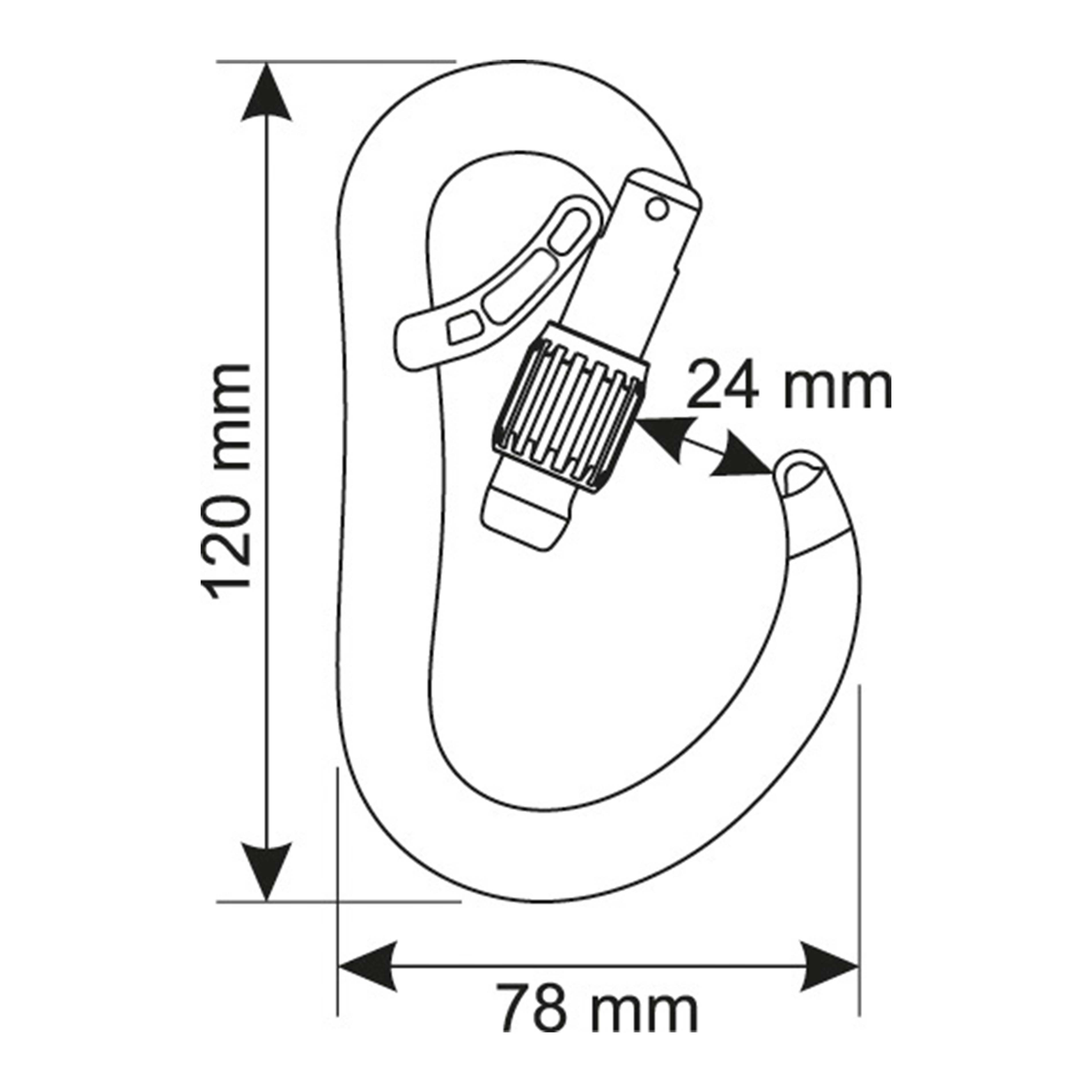 Buy Gokyo CAMP ATOM BELAY LOCK - Carabiner | Belay device at Gokyo Outdoor Clothing & Gear