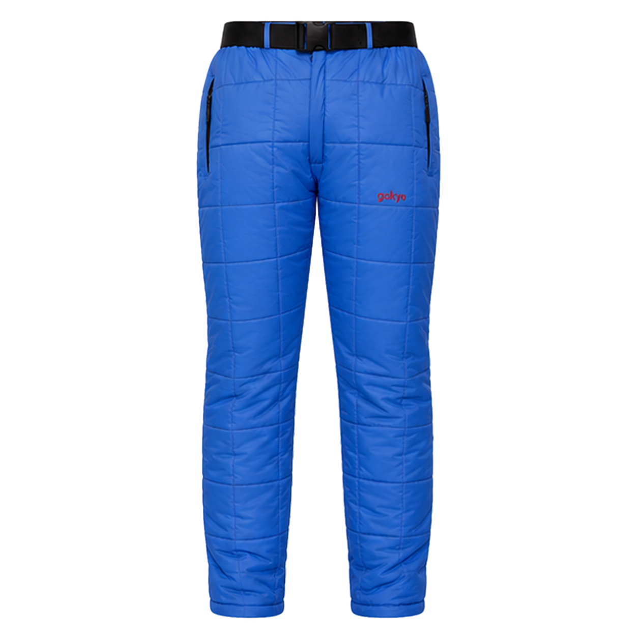 Annapurna Insulated Pants