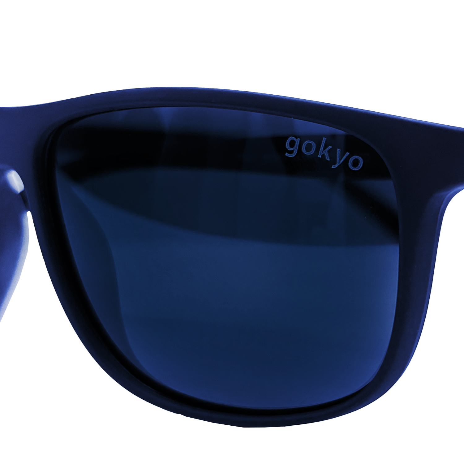 Buy Gokyo Kalimpong Polarised Sunglasses | Sunglasses and Goggles at Gokyo Outdoor Clothing & Gear