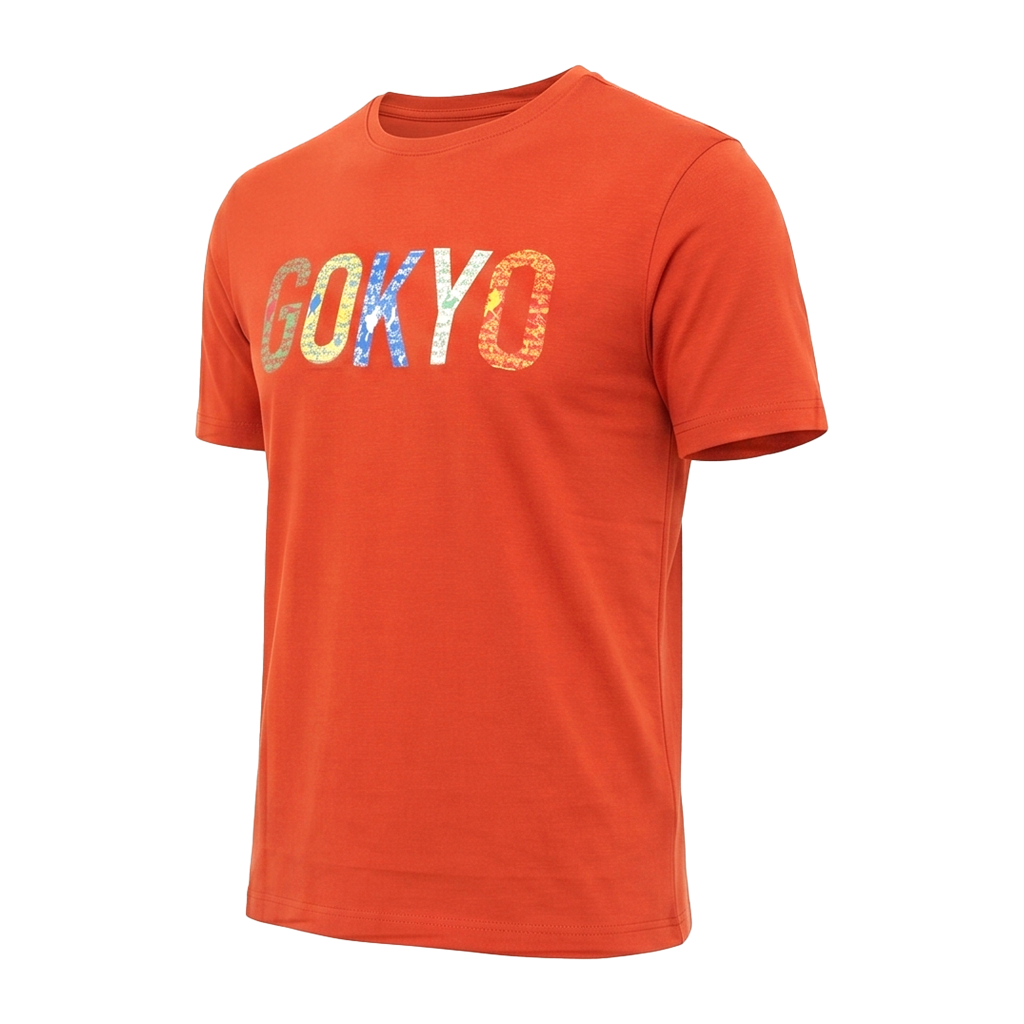 Buy Gokyo Gokyo Originals Tshirt - Flag | Trekking & Hiking T-shirts at Gokyo Outdoor Clothing & Gear