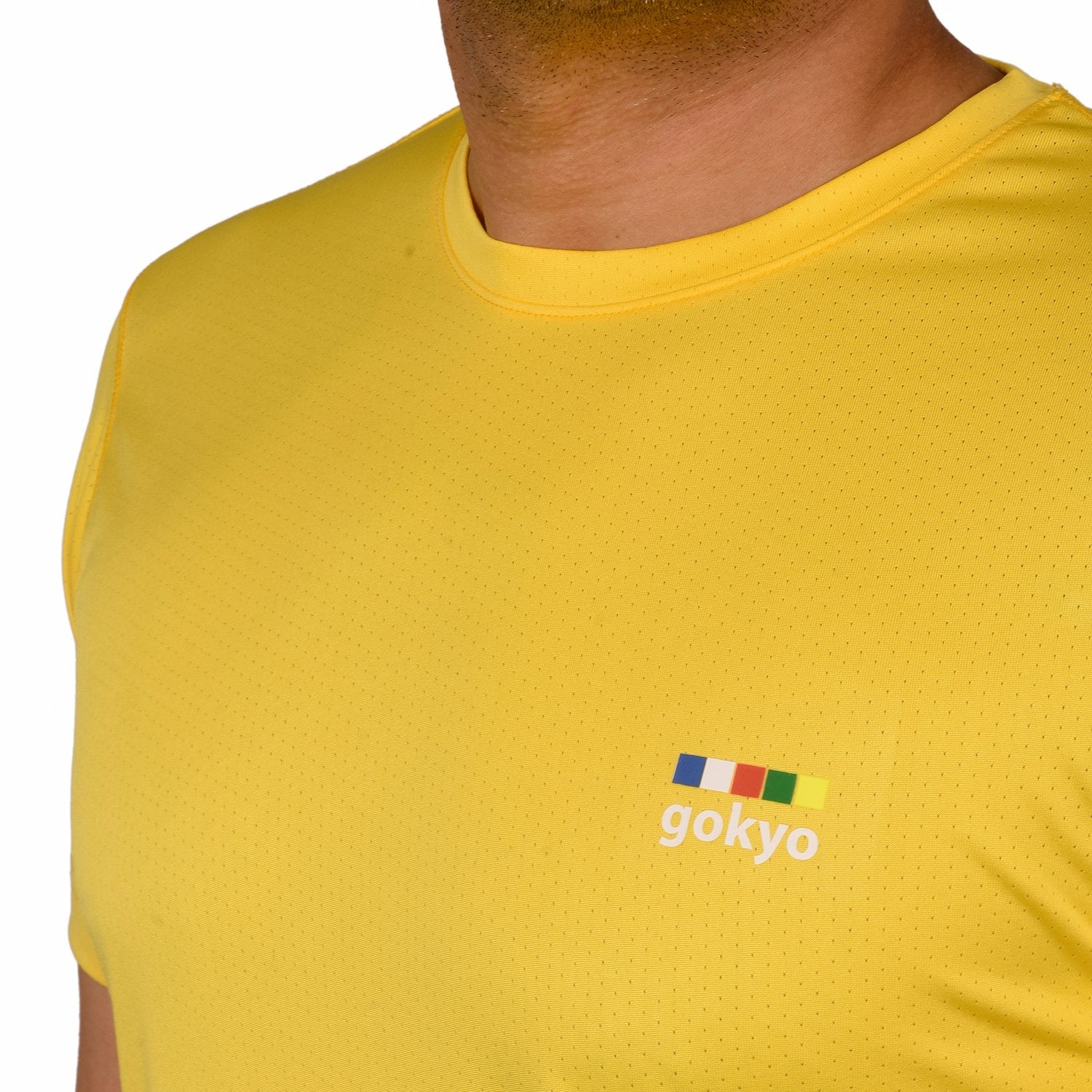 Buy Gokyo Kalimpong Activewear DryFit Tshirt | Trekking & Hiking T-shirts at Gokyo Outdoor Clothing & Gear