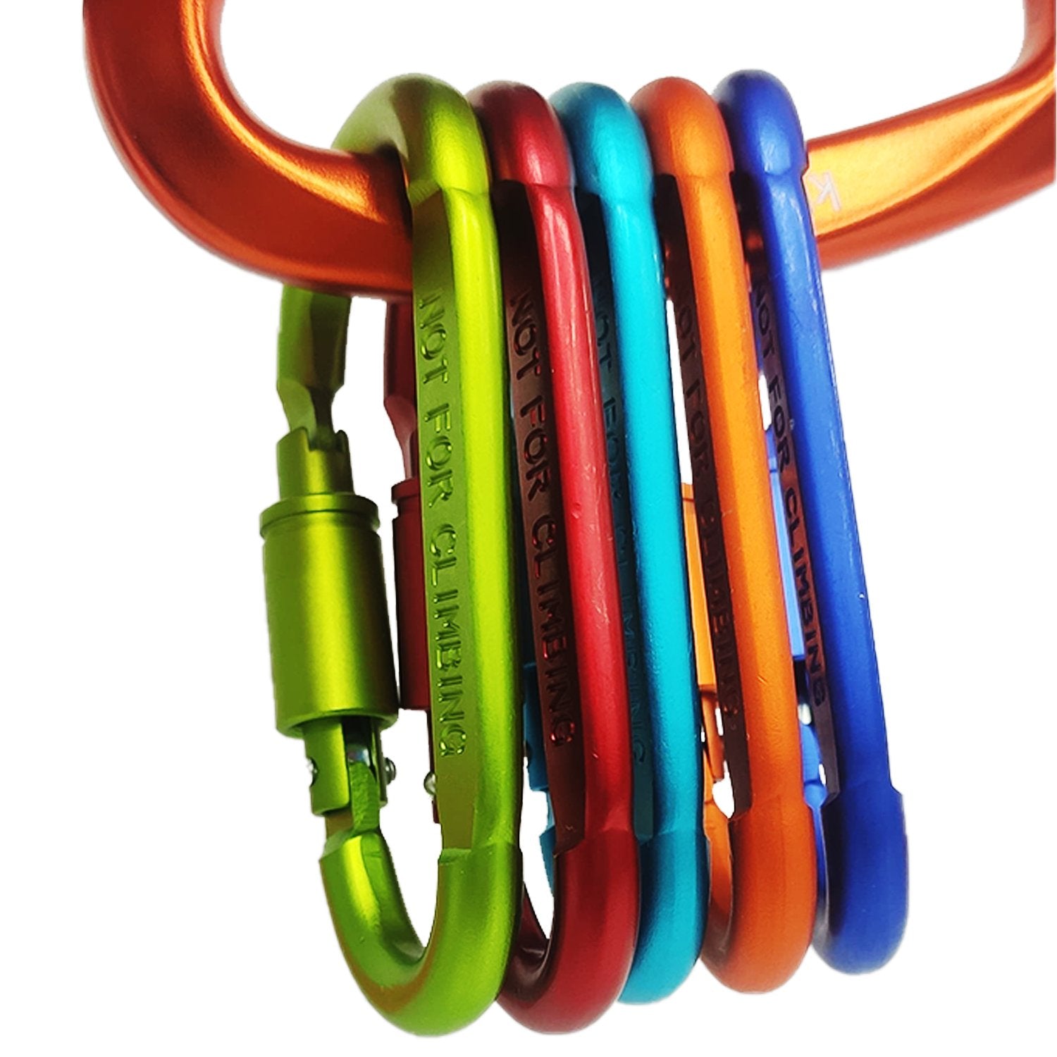 Buy Gokyo Kalimpong Carabiner - with Lock Assorted | Camping & Outdoors at Gokyo Outdoor Clothing & Gear