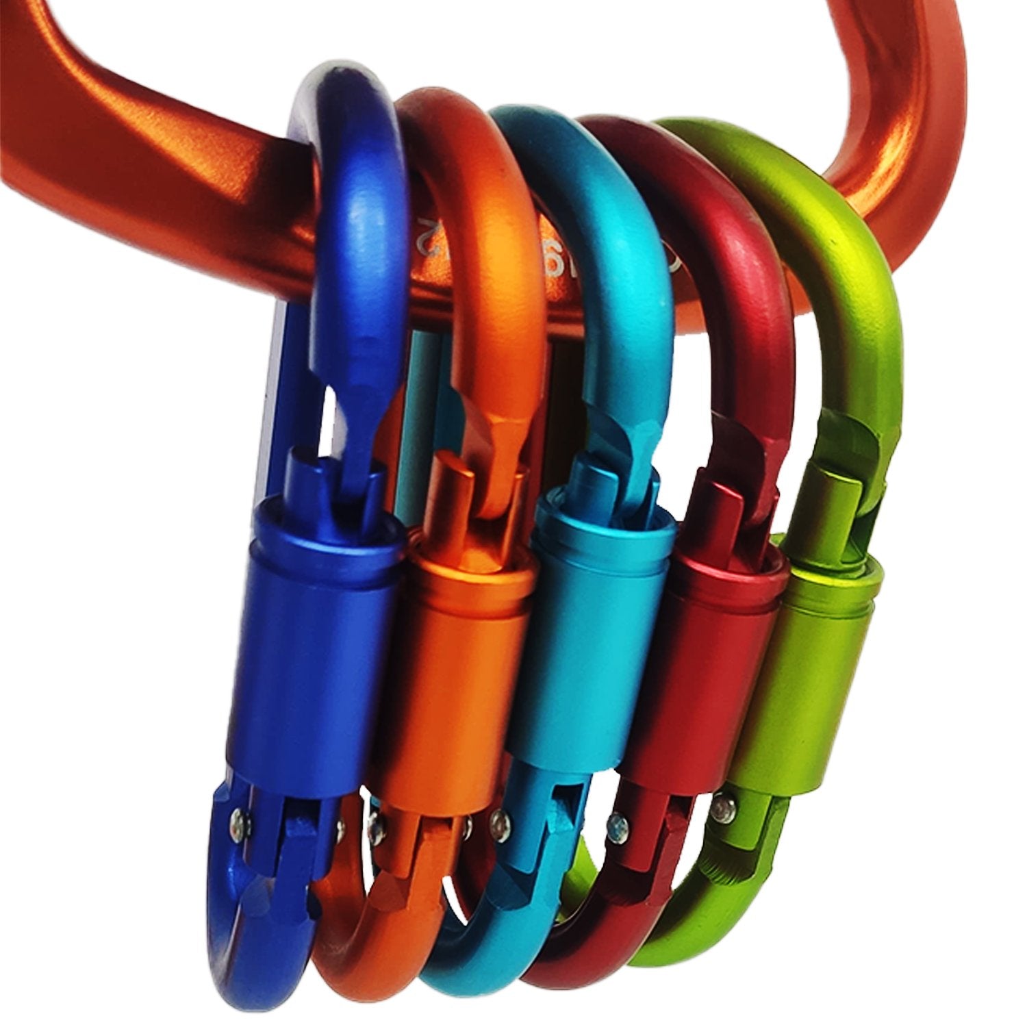 Buy Gokyo Kalimpong Carabiner - with Lock | Camping & Outdoors at Gokyo Outdoor Clothing & Gear