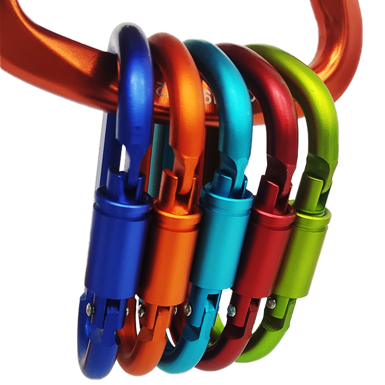 Buy Gokyo Kalimpong Carabiner - with Lock | Carabiners at Gokyo Outdoor Clothing & Gear