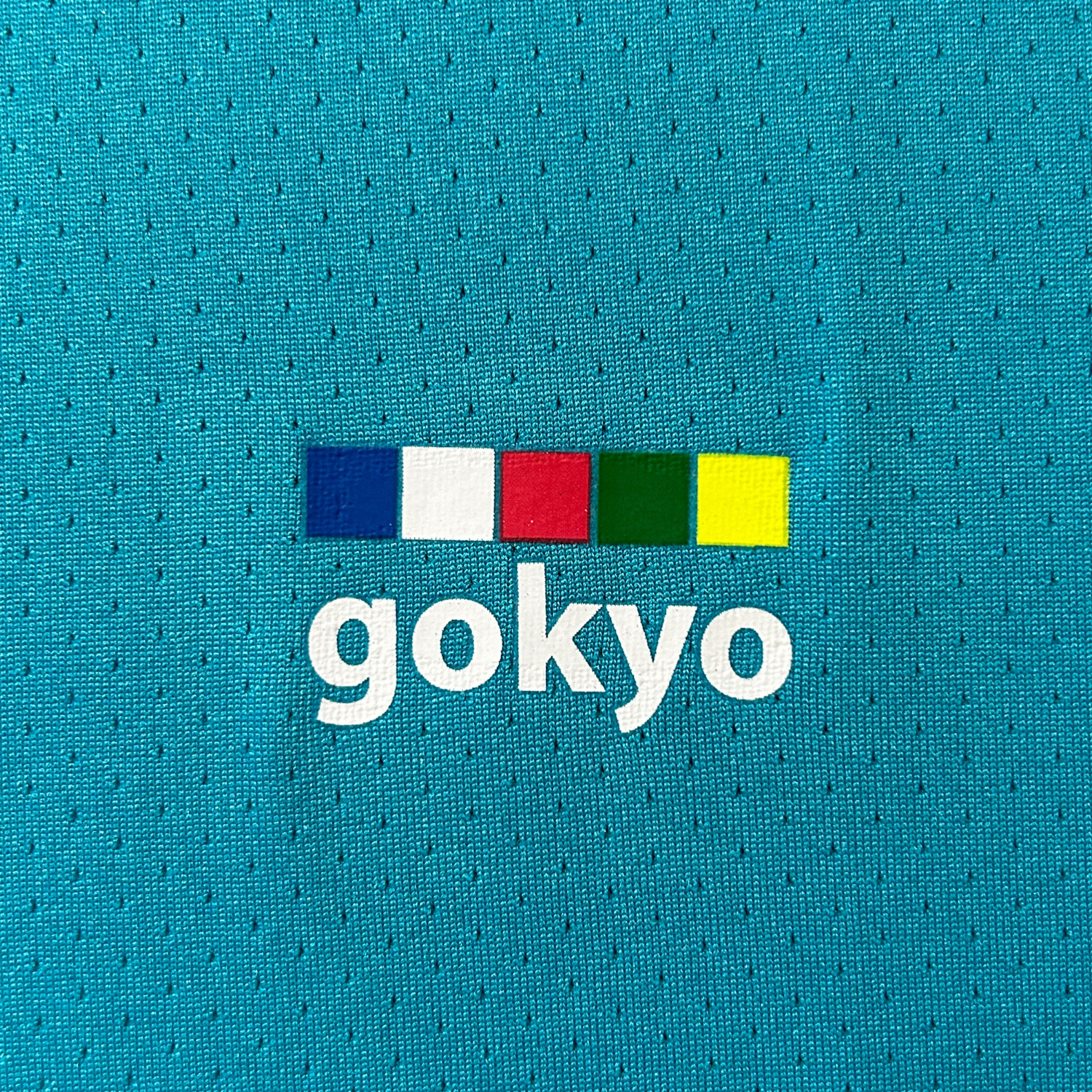 Buy Gokyo Kalimpong Outdoor & Multipurpose Tshirt | Trekking & Hiking T-shirts at Gokyo Outdoor Clothing & Gear
