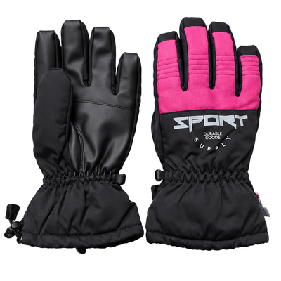 Lobuche 3M Thinsulate Extreme Cold Weather Gloves